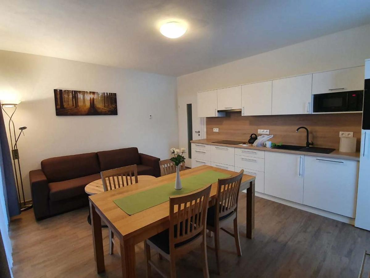 Apartman Praded V Rickach - Ricky V Orlickych Horach Екстер'єр фото